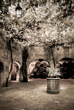Sherry-Cellar.jpg
