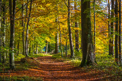 Colour Landscapes