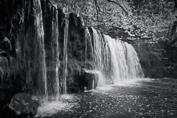 Monochrome Landscapes
