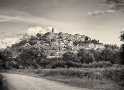 Monochrome Landscapes