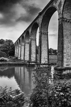 Monochrome Landscapes