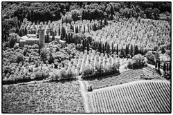 Monochrome Landscapes