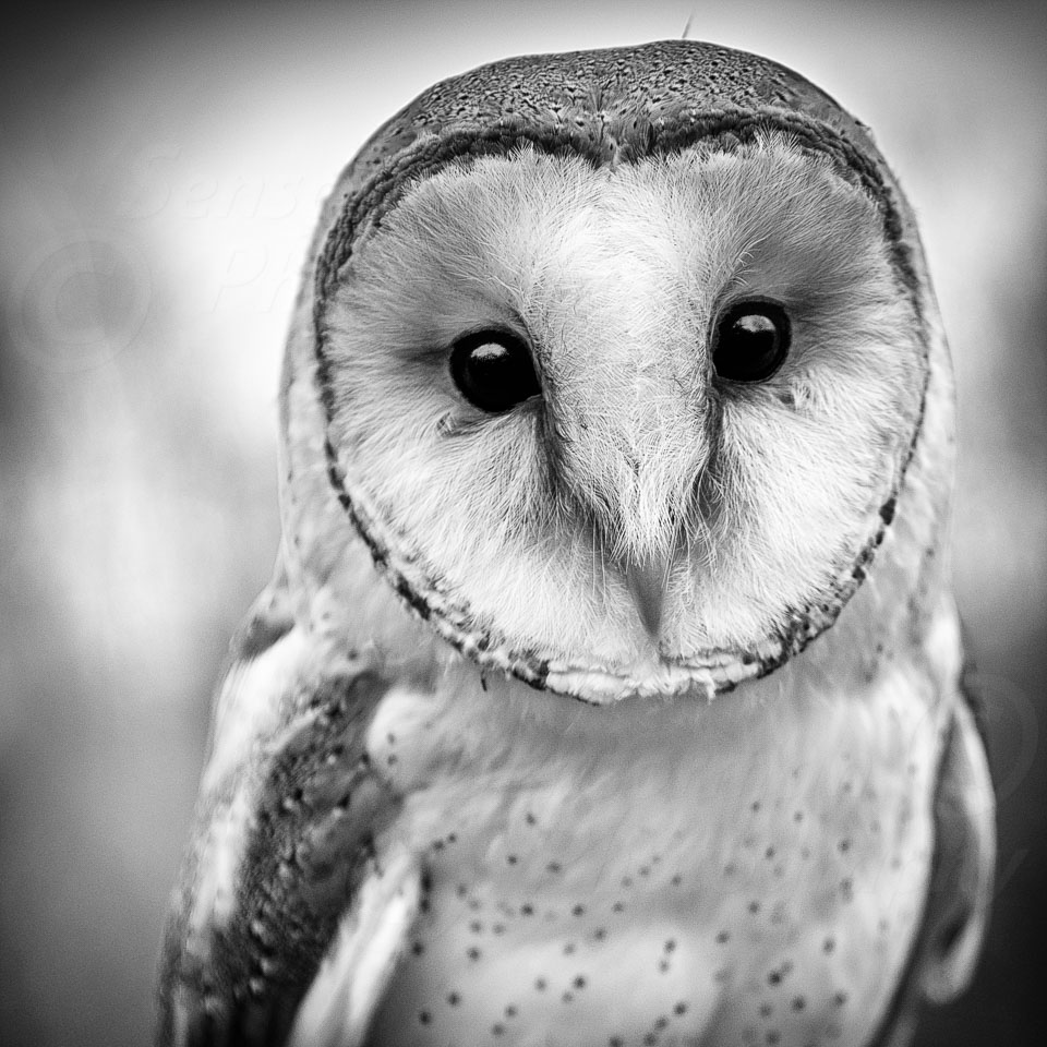 _E1A1370-Edit.jpg