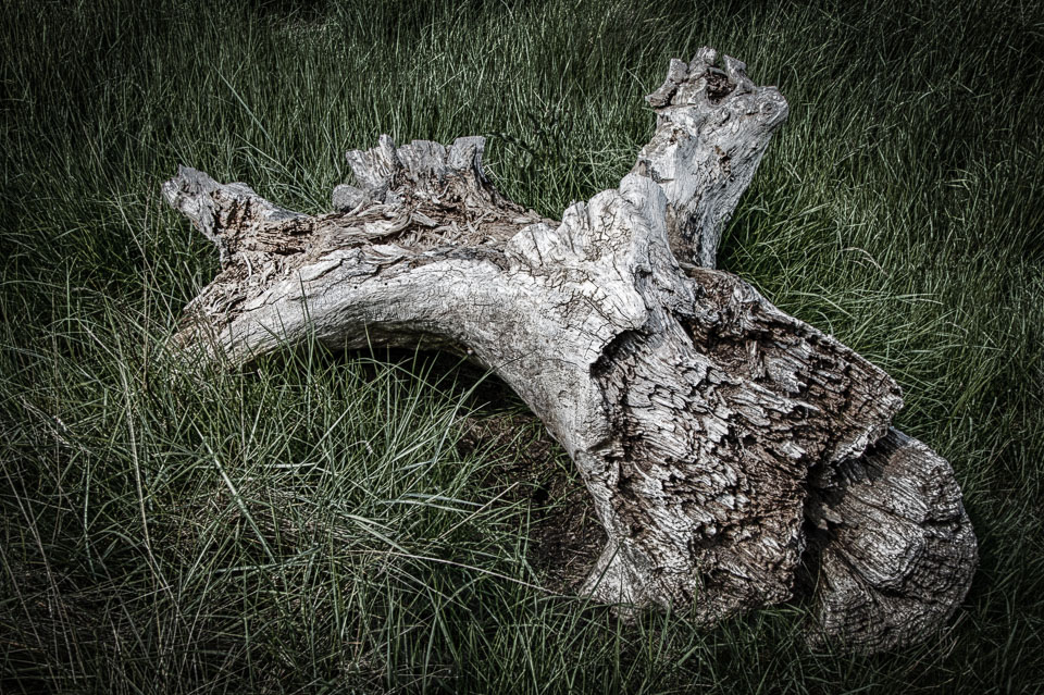 _E1A2126_HDR.jpg
