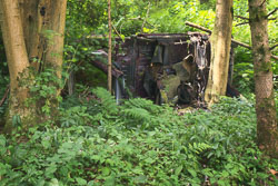 Rusting car Car_skeleton.jpg