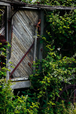 Decaying Threshing Machine IMG_1225-Skeleton.jpg