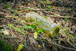 Plastic bottle Plastic_bottle.jpg