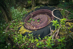 Tractor Wheel _E1A5907-Skeleton.jpg