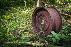 Rusting wheel _E1A6014-Skeleton.jpg