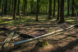 Collapsed Hut _E1A6016-Skeleton.jpg