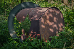 Rusty Pheasant Feeder _E1A6018-Skeleton.jpg