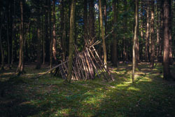 Forest Bivouac _E1A6024-Skeleton.jpg