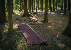 Corrugated Iron _E1A6037-Skeleton.jpg