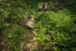 Fridge _E1A6043-Skeleton.jpg