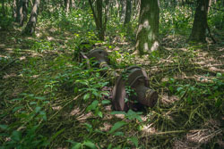 Rusty axle _E1A6901-axle4.jpg