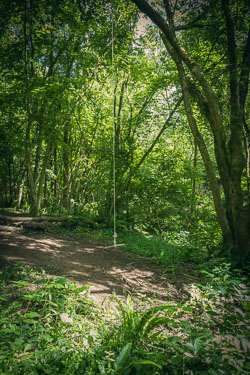 Time for fun _E1A6917-swing.jpg