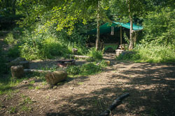 Forest school _E1A6933-forest_school.jpg