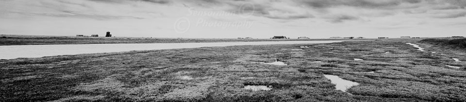 _N3A4472-Pano-Edit-2.jpg